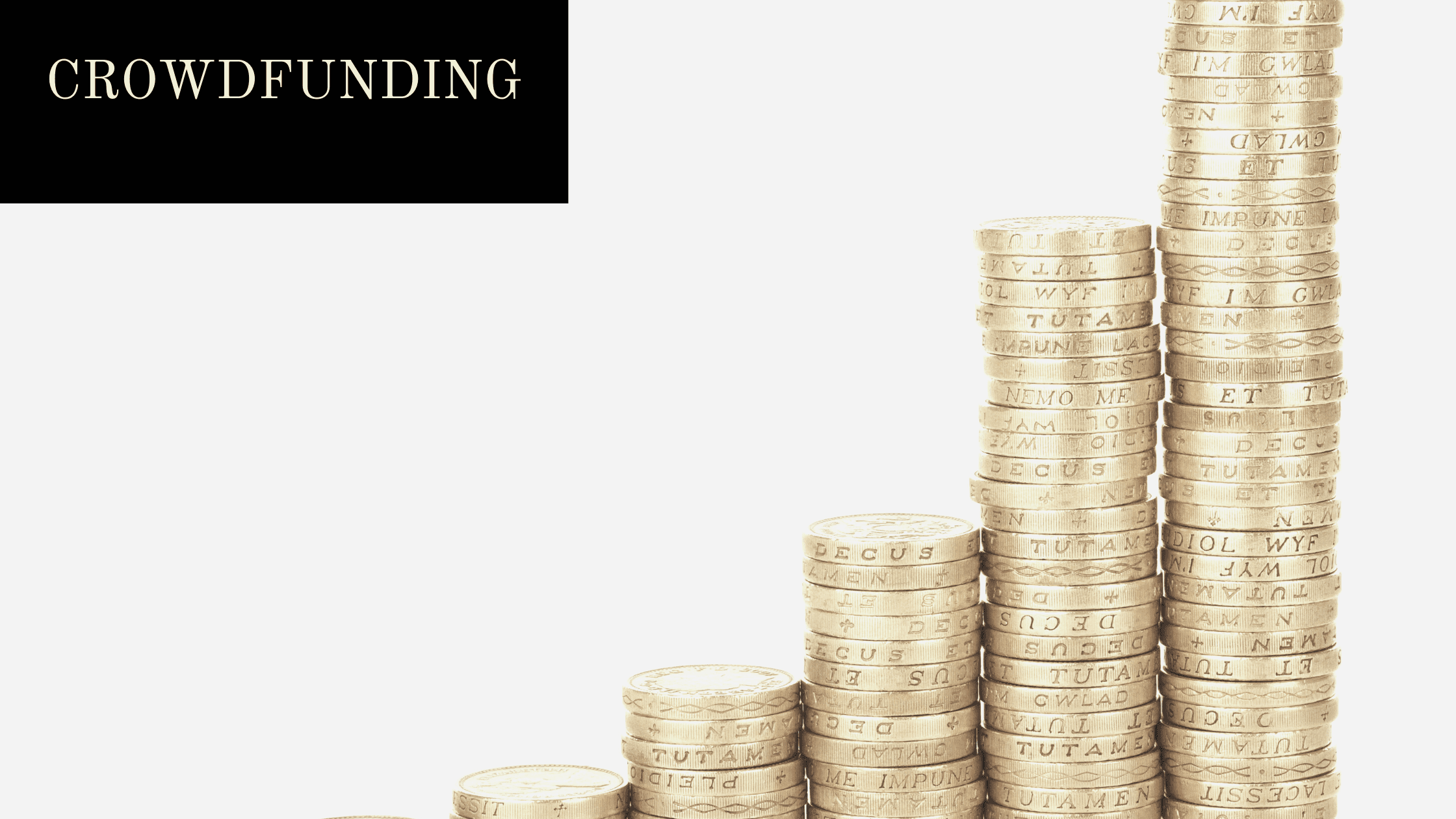 Crowdfunding in Business: Types, Advantages, and